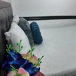 Alojamientos Livo